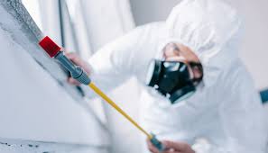 Best Pest Control for Multi-Family Homes  in Rapids, NY